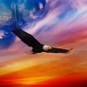 Meet your Posher, Cary